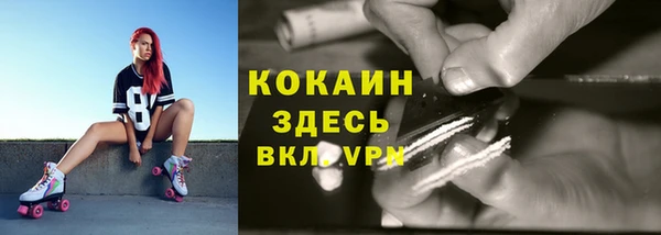 прущая мука Богородицк