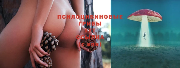 амф Богданович