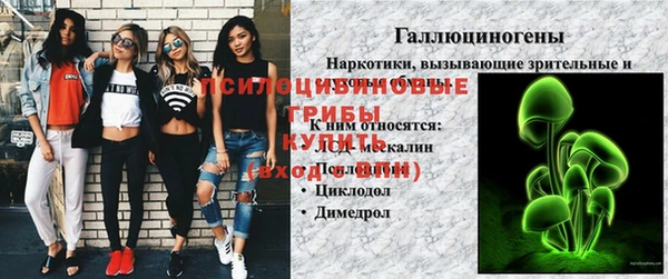 амф Богданович