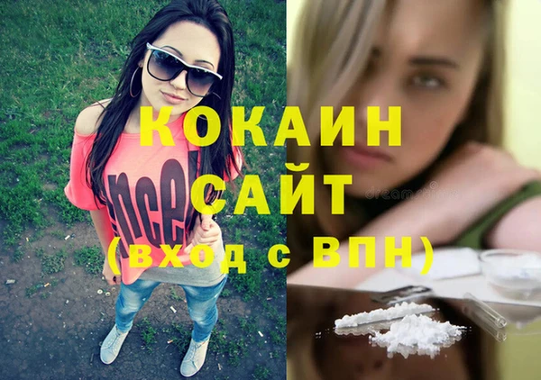амф Богданович