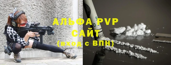 амф Богданович