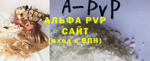 амф Богданович