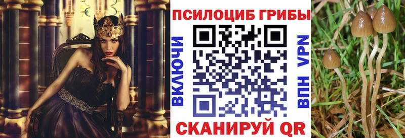 Псилоцибиновые грибы Cubensis  закладка  Ессентукская 
