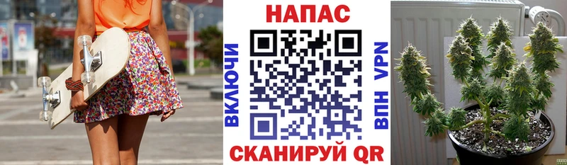 Марихуана гибрид  как найти закладки  Ессентукская 